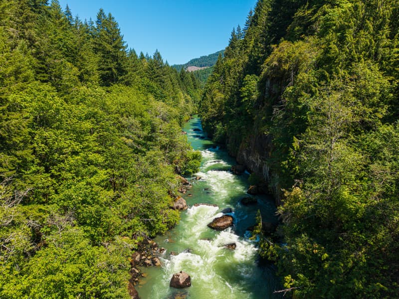 Whitewater river threading an emerald forest gorge, seen from above
