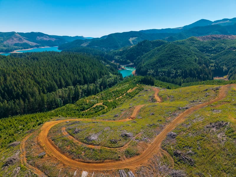 Reservoir arms winding through replanted timber hills, logging roads cutting the slope