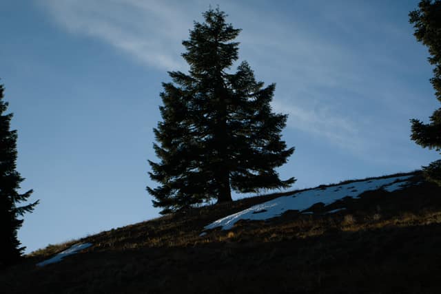 A snow-dusted ridgeline trail under a clear blue sky
