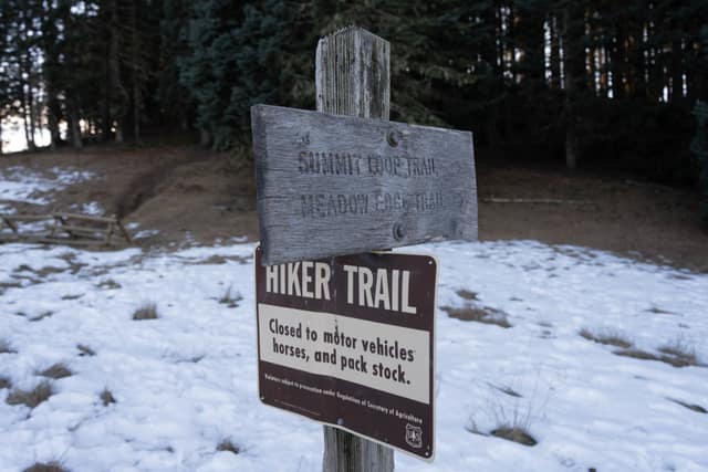 A wooden 'Hiker Trail' sign in patchy snow among firs