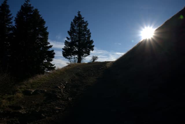 Sunburst over a hillside ridge beside a lone fir on Marys Peak