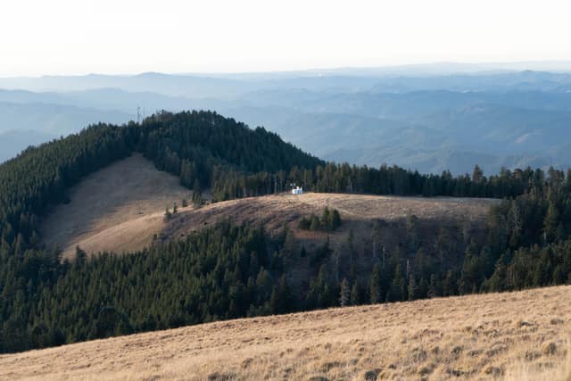 A bald, grassy hilltop rolling into forested country