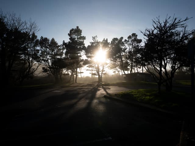 Sunbeams splitting through dark trees