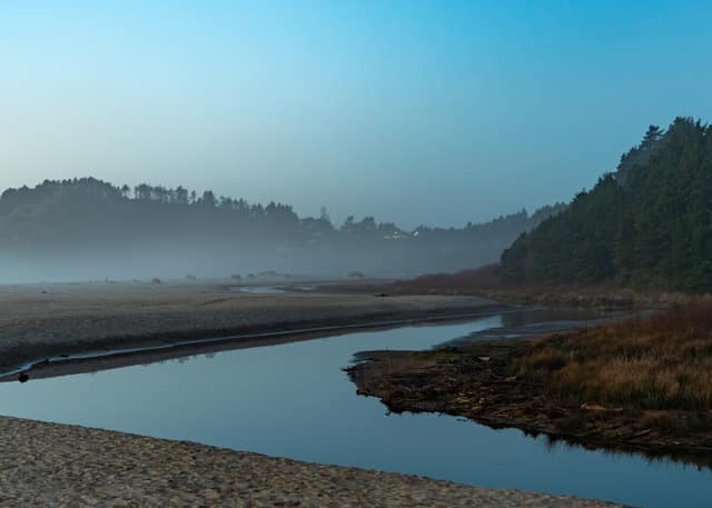 Mist rising off a still estuary at dawn, forested banks beyond