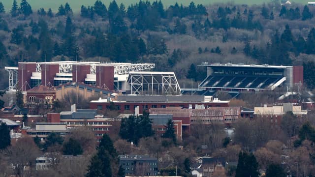 Stadium and rooftops from a wooded hill