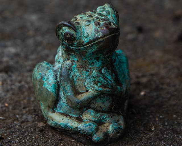 Turquoise frog statue, garden detail