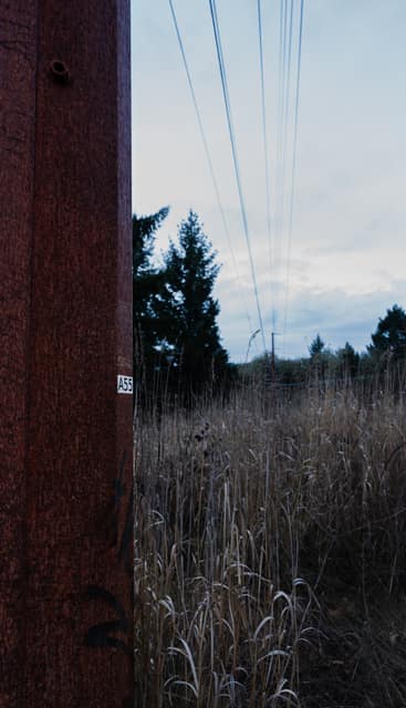 Rusted pole against tangled wires and grass