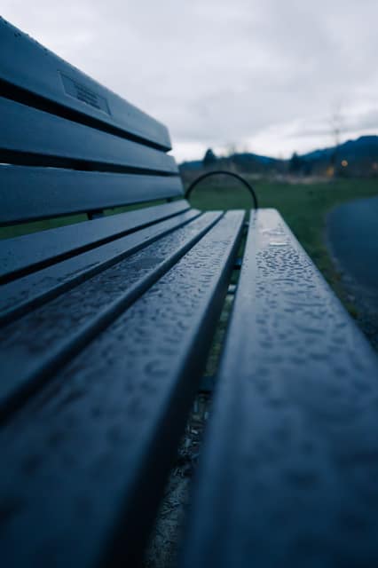 Rain beads on an empty park bench