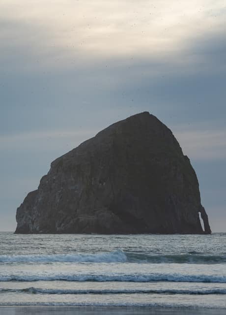 Massive sea stack looming offshore