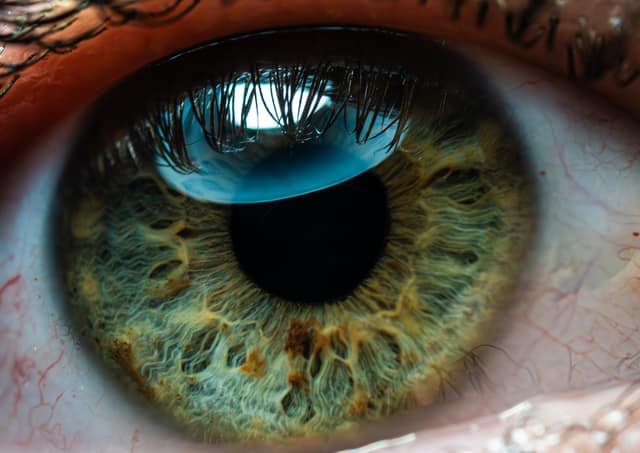 Extreme macro of a human eye, green iris