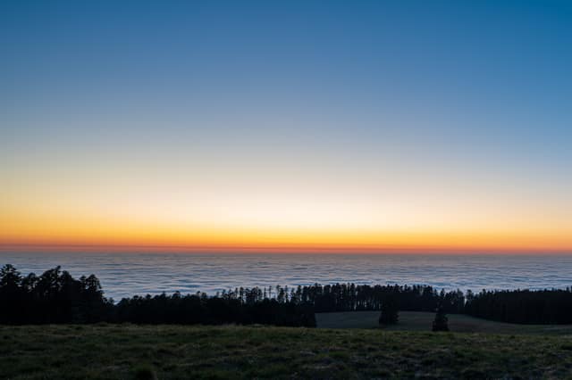 Pastel sunrise above cloud cover