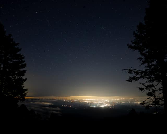 Valley lights framed by dark pines