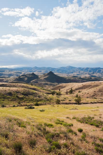 Folded green hills of the John Day country