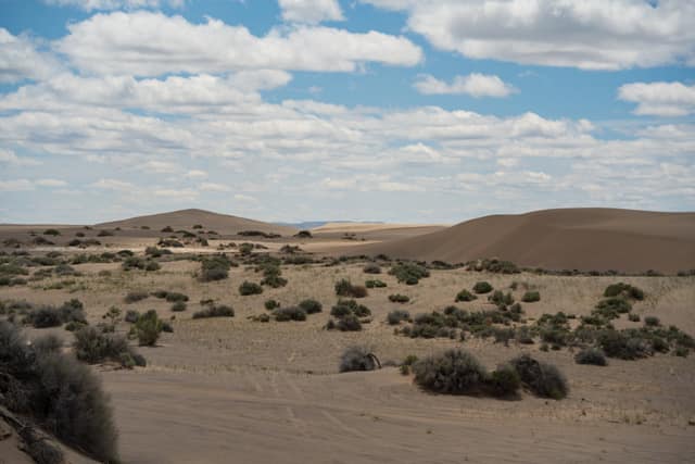 Dunes and scrub under a big sky