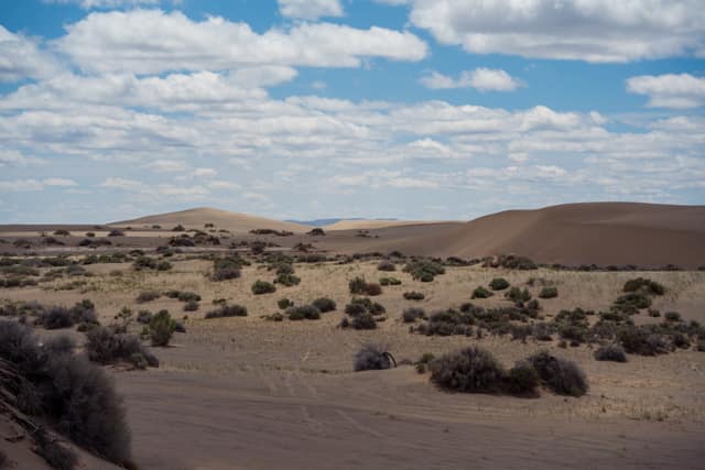 High-desert sagebrush and sand dunes