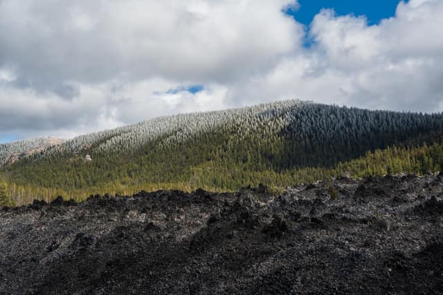 Old lava flow meeting green forest