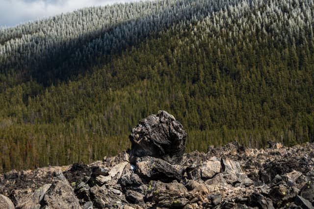 Rocky outcrop over a forested hillside