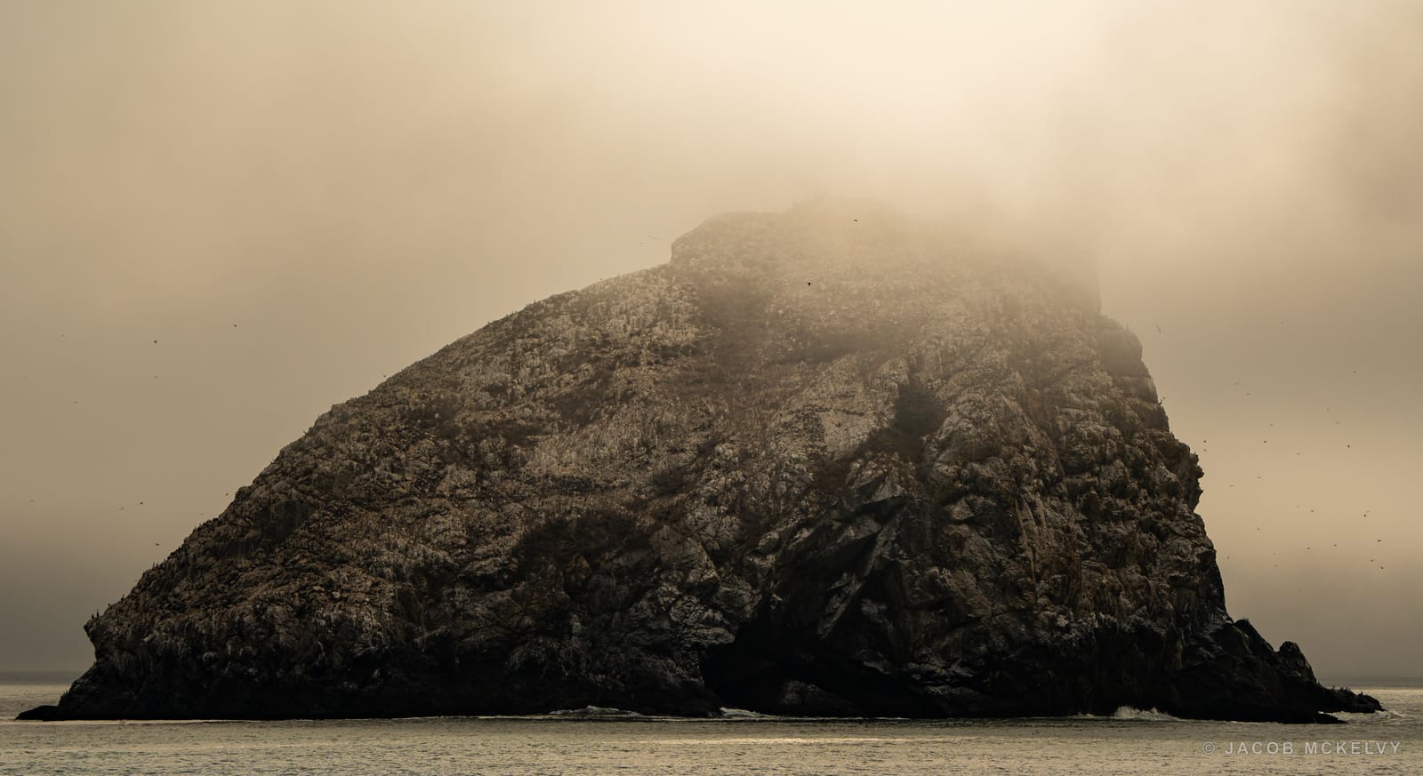 A fog-shrouded sea stack glowing in golden haze, seabirds circling its rocky face above the surf