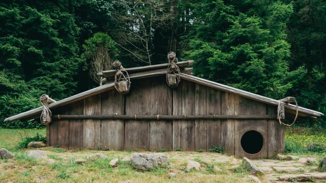 Traditional redwood-plank house in a forest clearing, hand-lashed beams along the roofline