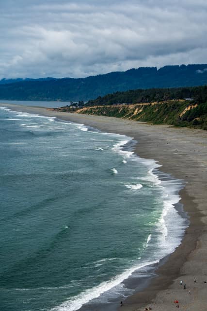 Curving surf line on a gray-sand beach below forested bluffs