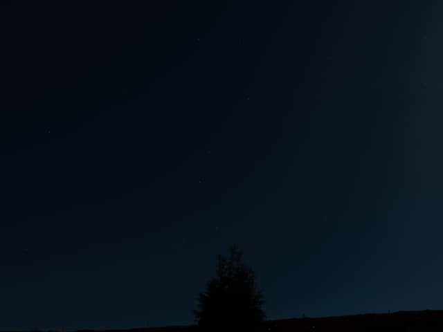 Last light over a dark treeline