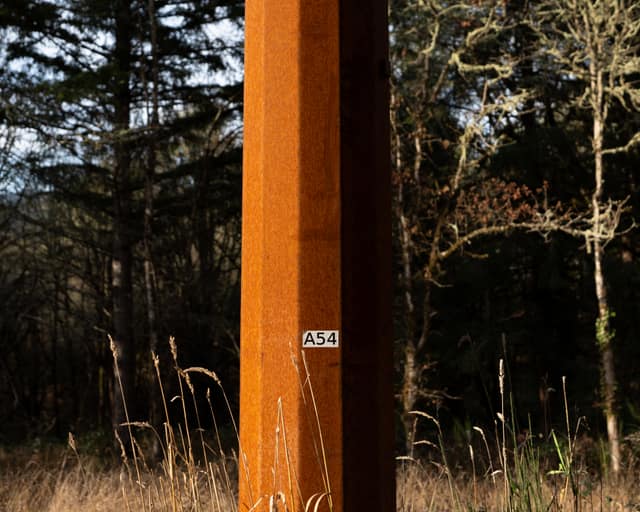Rusted marker post in dry grass