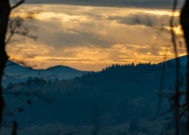 Golden sunset mountains glimpsed through a gap in the trees
