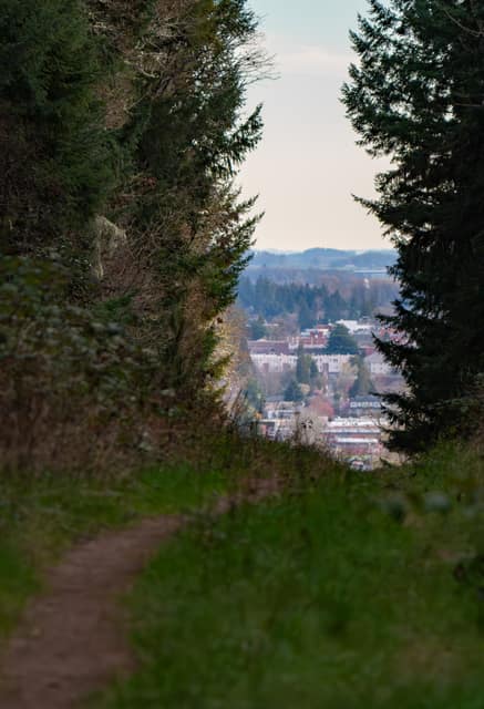 Town glimpsed through a break in the trees