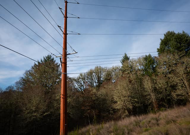 Power lines tracing a country road