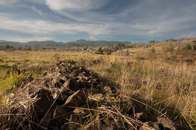 Fresh dirt mound in an empty field