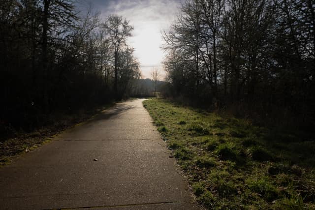 Wet park path fading into dusk
