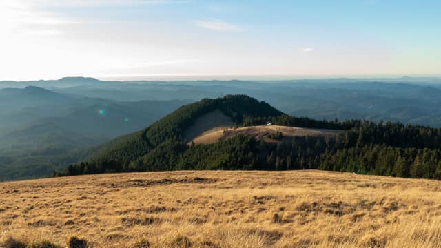 The grassy summit meadow of Marys Peak overlooking the Coast Range
